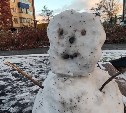 В Южно-Сахалинске появился первый снеговик - до Нового года 62 дня 