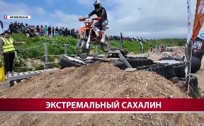 Спорт