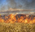 Ещё в одном СНТ Южно-Сахалинска загорелась трава