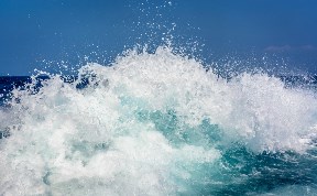 Происшествия