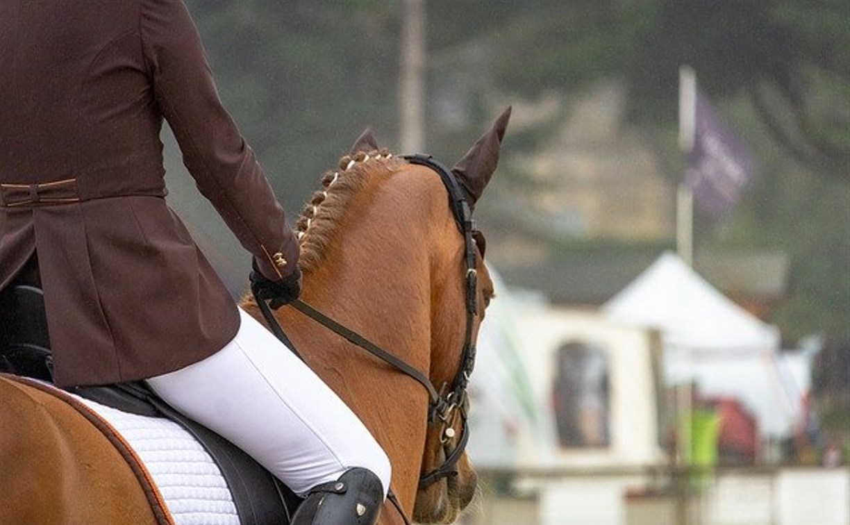 Юным сахалинцам предлагают заниматься конным и авиамодельным спортом