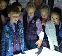 «Извержение вулкана» увидели южно-сахалинские школьники