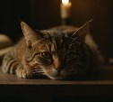На Сахалине отключат водозаборы, больницу и сотни человек: график работ на 25 июля
