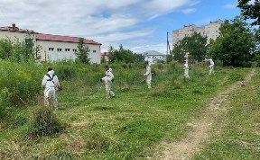 Общество
