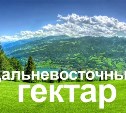 К сахалинским «дальневосточным гектарам» протянут электричество и дороги