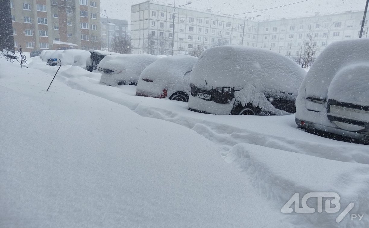 Ветер с порывами до 17 м/с прогнозируют на южном побережье Сахалина