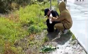 Происшествия
