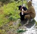 Сахалинец больше часа просидел на дереве в районе Сусуи, спасаясь от медведицы с медвежатами