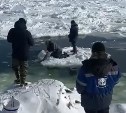 "Греби ведром": сахалинские рыбаки оседлали льдину и переплыли трещину