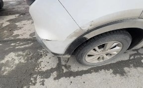 Общество