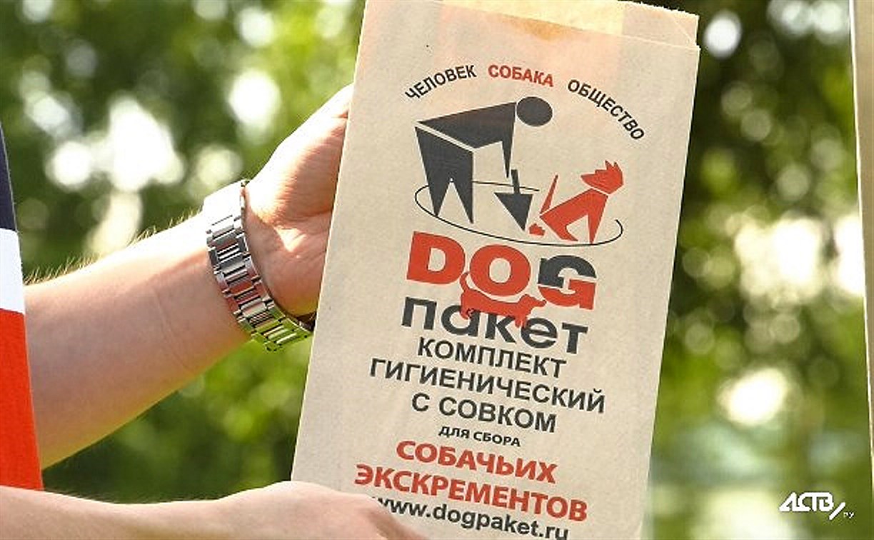 В Южно-Сахалинске появились стойки с пакетами для уборки за собаками