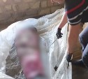 "Ударил о стену и закатал тело в бетон": на Курилах вынесли приговор по делу о жестоком убийстве иностранца