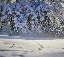 Снежная погода ждёт Сахалин 8 января, на Курилах без осадков