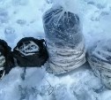 Рыбаки на Сахалине наловили два мешка 30-сантиметровой корюшки