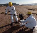 В Александровск-Сахалинском районе от нефтепродуктов очистили 700 м береговой полосы
