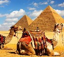 Египет и другие популярные туристические направления могут закрыть для россиян 