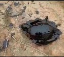 Нефтяное озеро на Сахалине стало могилой для водоплавающих птиц