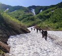 Крыша Сахалина и нытики в пути: гид рассказал о подводных камнях во время путешествия по самому большому острову России
