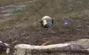 Происшествия