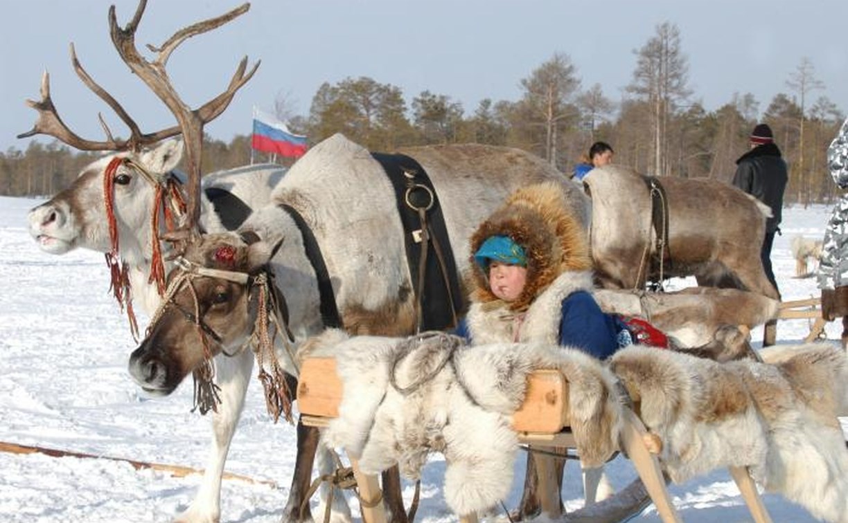 Сахалинские депутаты отправились в Югру подглядывать за оленеводами