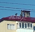"Страшно же, мужики": рабочие без страховки катались по крыше дома в Корсакове