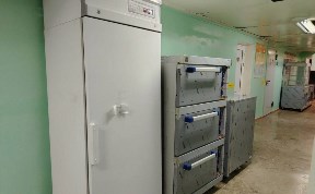 Общество