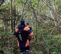 У горы Вайды на Сахалине ищут ягодника, который пропал 8 дней назад 