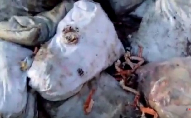Сахалинцы обнаружили несанкционированную свалку с морепродуктами