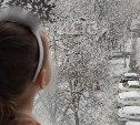 На севере снег, на юге дождь: прогноз для всех районов Сахалинской области на 27 ноября