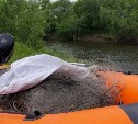 "Ущерб около полумиллиона": рыбоохрана на Сахалине воюет с браконьерами на симу 