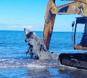 Останки двух затонувших судов уберут в Стародубском до конца года