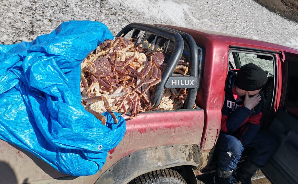 Браконьеров с незаконно добытыми крабами поймали на Сахалине