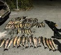  72 рыбины лососевых пород и забродные сапоги изъяли у жителя Сокола за браконьерство