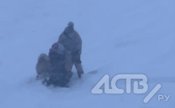 Огромная дворняга накинулась на домашнюю собачку: сахалинцам понадобилась скорая помощь