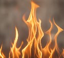 На Сахалине с начала сезона произошло 11 лесных пожаров