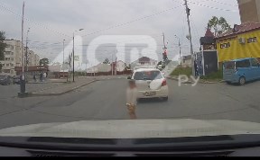 Происшествия
