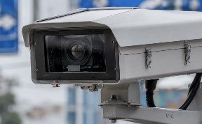 Общество