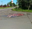 Рыбьи головы "потерял" автомобиль посреди дороги в Поронайске
