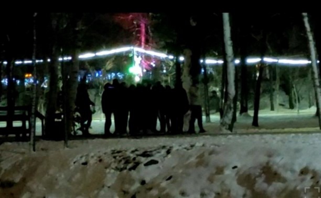 "Никакой потасовки не было": в мэрии Южно-Сахалинска прокомментировали инцидент в горпарке