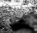 Неоднократно судимый сахалинец разбил окно и залез в квартиру 43-летней жительницы Корсакова 