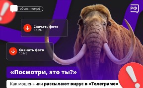Происшествия