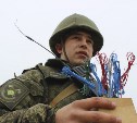 В Сахалинской области специалисты инженерных войск установят минные поля