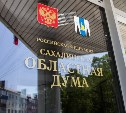 Депутаты сахалинской облдумы выступили за запрет рекламы микрозаймов