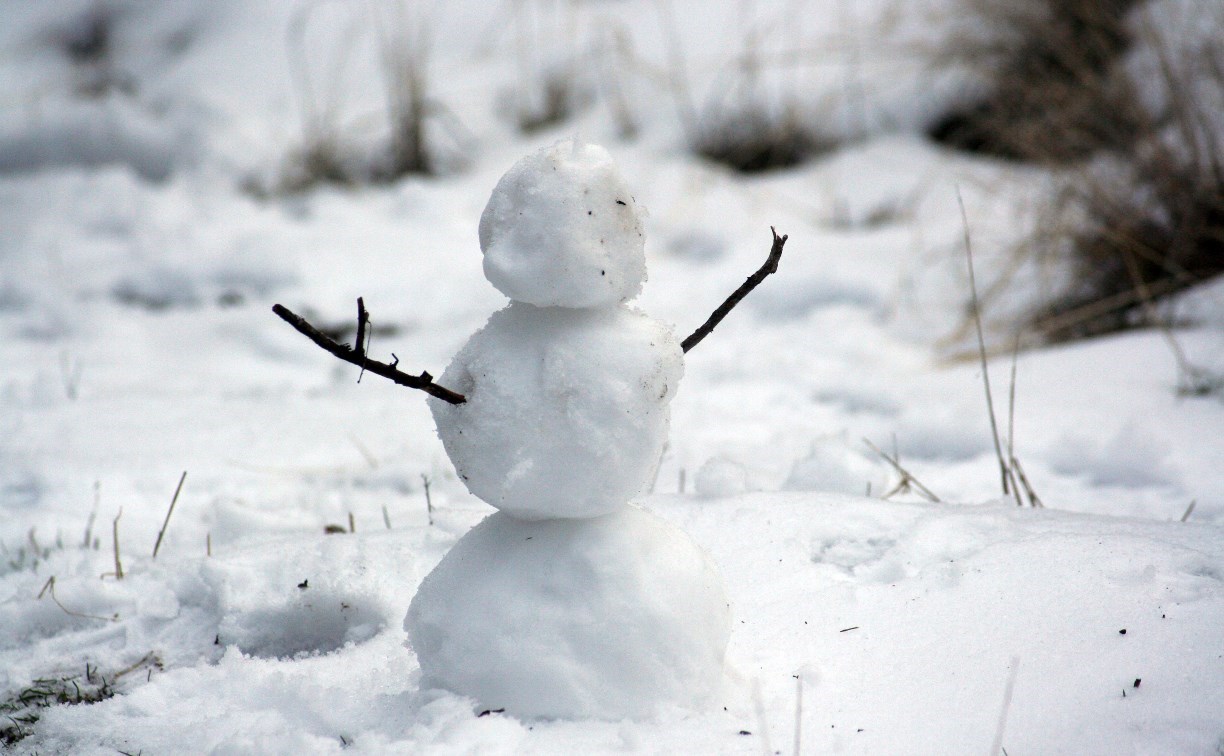 Снег и ветер: какая погода ждёт Сахалин и Курилы в первый день весны