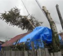 Третий день в Южно-Сахалинске не могут полностью устранить последствия тайфуна Халонг (ФОТО)
