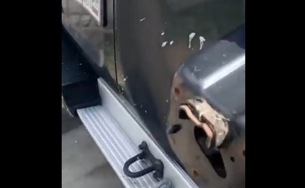 В Южно-Сахалинске рабочие покрасили забор и припаркованное авто