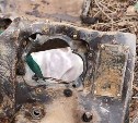 Найденные фрагменты разбившегося самолёта озадачили поисковиков на Сахалине