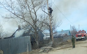 Происшествия