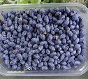Литр по 1200 - на Камчатке начался сезон жимолости
