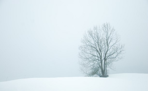 Циклон не отступает: метель продолжится на севере Сахалина в ночь на 17 декабря